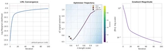 Convergence of the 100-step gradient ascent